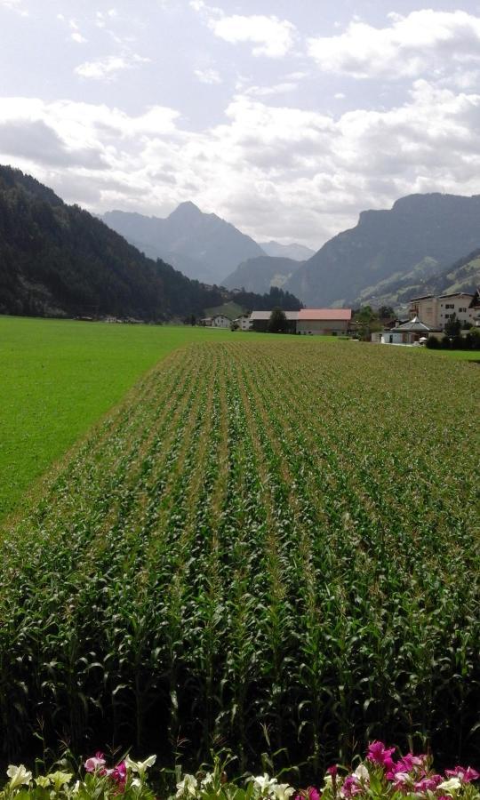 Gaestehaus Wildauer Zell am Ziller Kültér fotó